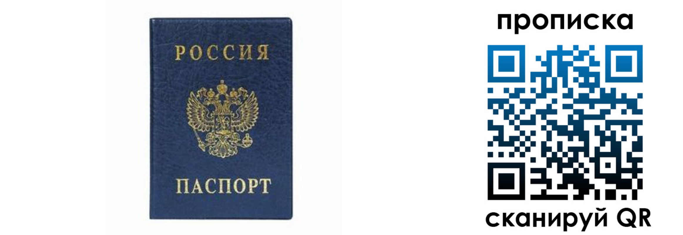 временная регистрация поиск в Полярных Зорях