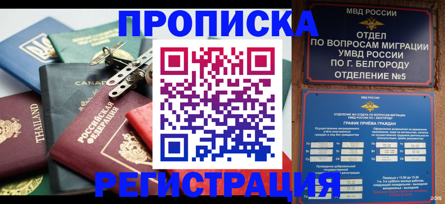 временная регистрация недорого в Полярных Зорях